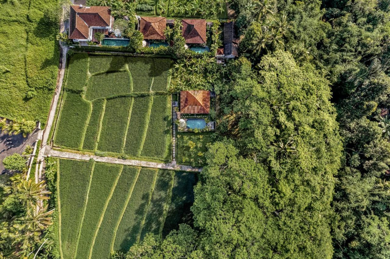 Ratni Ubud Villa 外观 照片